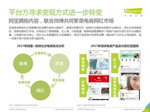 2017年中国网红经济发展洞察 机遇与挑战并存