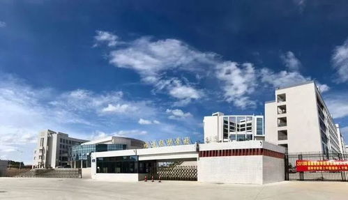 台商区中考成绩不理想怎么办？经贸咨询助你规划新出路